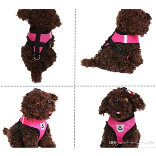 Breathable Dog Pet Harness and Leash Set Air Nylon Mesh Puppy Small Dogs Cat Clothes Accessories Puppy Vest Net