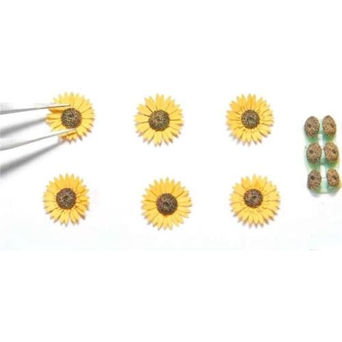Model Scenes Paper Sunflowers Paper Plant for Dioramas for 1/32 1/35 1/48 Scale Model Accessories Laser Cutting Paper Plant