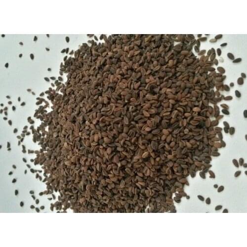 Экосад Home And Garden Products