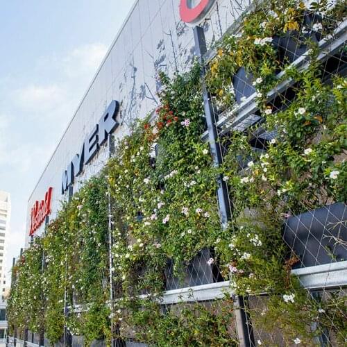 Durable stainless steel rope mesh, green wall, plant climbing mesh fence