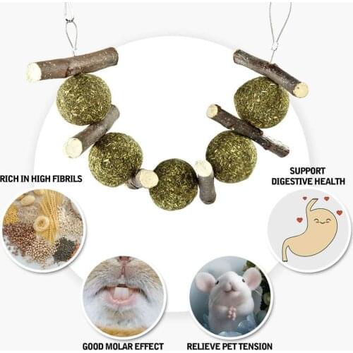 Rabbit Bunny Teeth Cleaning Chewing Dental Health Shape Grass Hay Ball Chew Toy Sticks