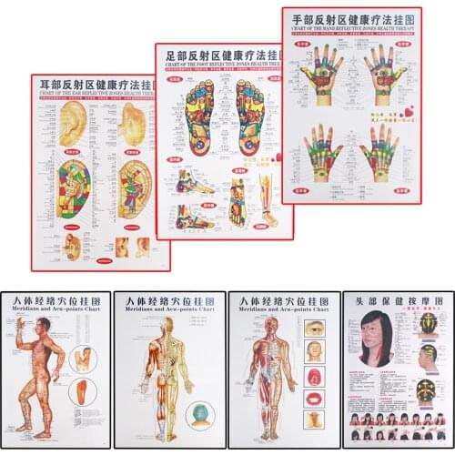 7 stks/set Acupunctuur Massage Punt Kaart Chinese & Engels Meridiaan Acupressuurpunten Posters Grafiek Muur Kaart Voor Medische