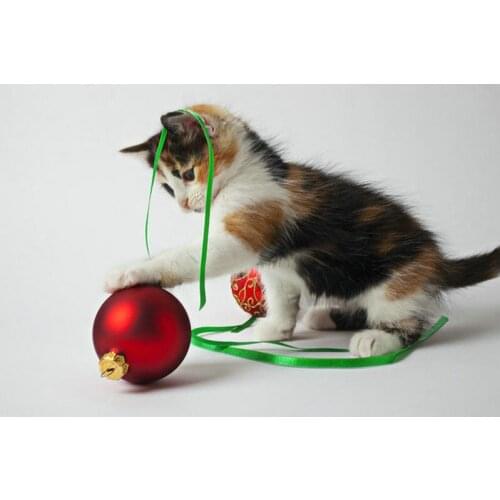 Full square round drill 5D Diy diamond painting Cat and christmas ball Diamond embroidery rhinestone mosaic wall home decoration