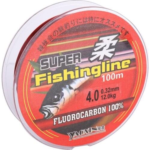 Fishing Line 100m/200m 100% Nylon Transparent Not Fluorocarbon Fishing Tackle Not Fishing Lines Fishing Accessories