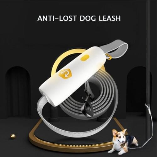 2021 Explosion-proof All Seasons Seat Belt Dog Personalized Anti-lost Dog Leash Harness Small Medium Dog Collar Pet Products