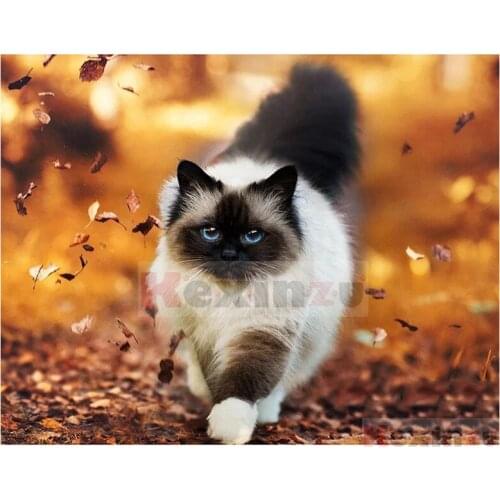 Kexinzu Full 5D DIY Square/Round Drill Diamond Painting "Animal Cat" 3d Diamond Embroidery Cross Stitch Decor Gift K501