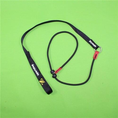 Training dog collars training leashes