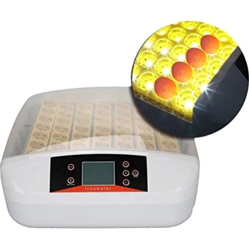 Newest Best Farm Hatchery Machine 42 Egg Hatchers Cheap Price Chicken Automatic Egg Incubator China for Sale Birds Quail Brooder
