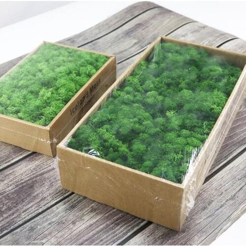 200g/bag Artificial Green Plants Immortal Fake Flower Moss Grass Home Decorative Wall DIY Flower Grass Accessories