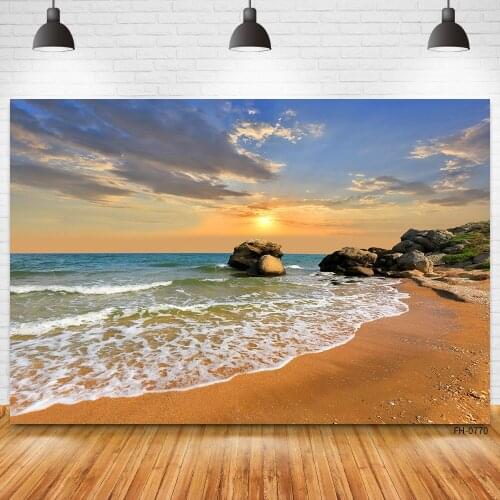 Dreamy Natural Scenery Stone Sunset Summer Beach Cloudy Baby Portrait Photo Studio Photography Backdrops Photophone Backgrounds