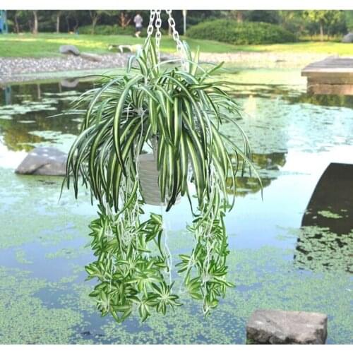 1pc Artificial chlorophytum orchids Plastic rattan wall flower silk flower artificial Orchid Bracketplant Spider plants