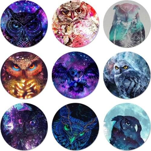 58mm Animal Owl painting Icons Pins Badge Decoration Brooches Metal Badges For Backpack Decoration