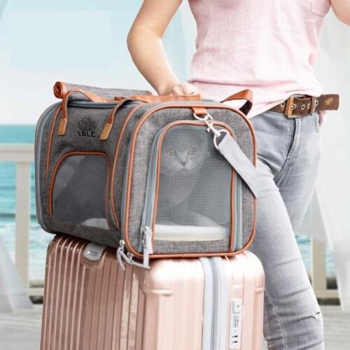 The cat backpack Portable Carrier Bag Pet Puppy Travel Bags Breathable Mesh Bags for Small Dogs Cat Chihuahua Carrier Out going