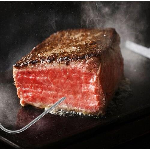 Waterproof Thermometer Hybrid Probe Replacement for Digital Cooking Food Meat Thermometer