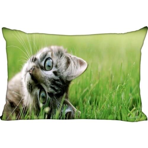 Cushion Small Milk Cat Cover Throw Pillow Case Rectangle Cushion For Sofa/Home/Car Decor Zipper Custom PillowCase