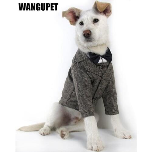 Верхняя одежда для девочек WANGUPET China At AliExpress