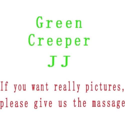 Мягкие игрушки животных SHAN JI X China At AliExpress