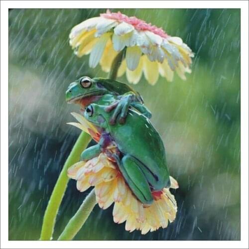 5D DIY Diamond Painting Hyla Flower Cross Stitch Set Full Square Diamond Home Decoration Mural Gift T418