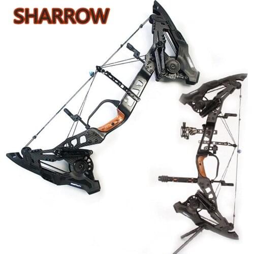 1Pc 32" 21.5lbs-80lbs Archery Compound Bow Steel Ball Dual Use Lss Rubber Band Beast 330/460FPS For Outdoor Hunting Shooting