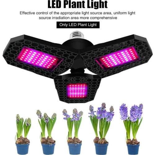 Woopower Plant Lamps