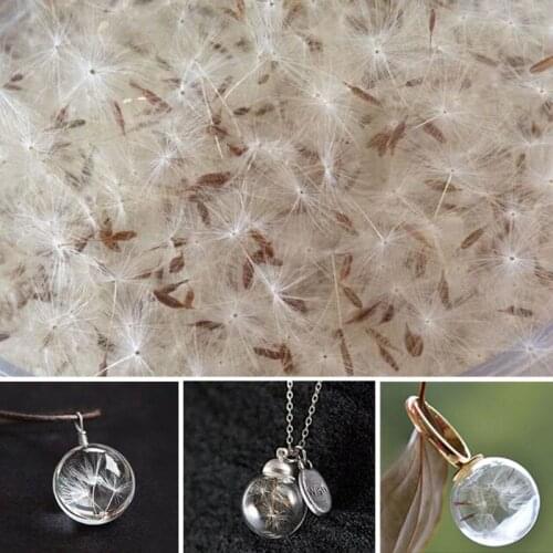 100Pc Natural Dandelion Seed Small Glass Ball Fillings Resin Wish Jewelry Making Q0KE