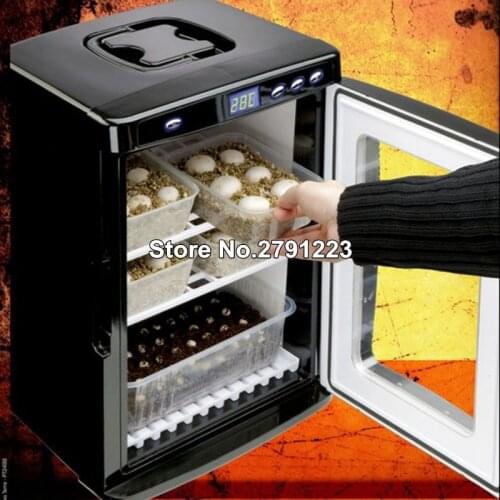 110V/220V Digital Thermoelectric Incubator Reptile Egg Chameleon Lizard Incubator Suitable for birds turtles Heating brooders