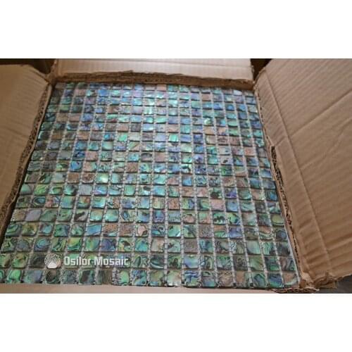 Free shipping 100% abalone paua sea shell natural color shell mosaic tile for interior house decoration wall tile 1pcs