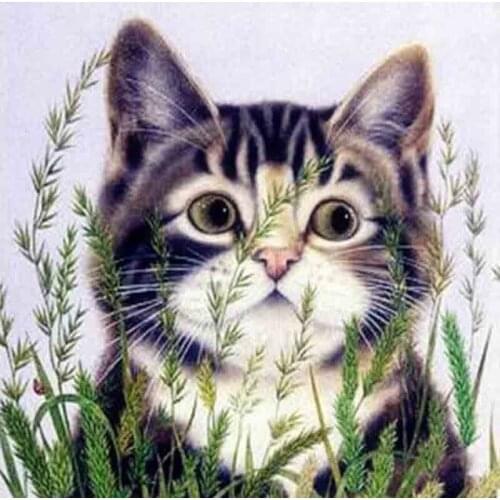 Dpsprue Full 5d Diy Diamond Painting Cross Stitch Animal Cat Diamond Embroidery Kit Mosaic Home Artworks Decor Gift S24