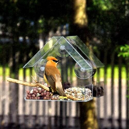 Window Bird Feeder Hotel Wild Table Hanging Suction Perspex Clear Viewing Seed Alimentador Adsorption House Type Bird Feeder