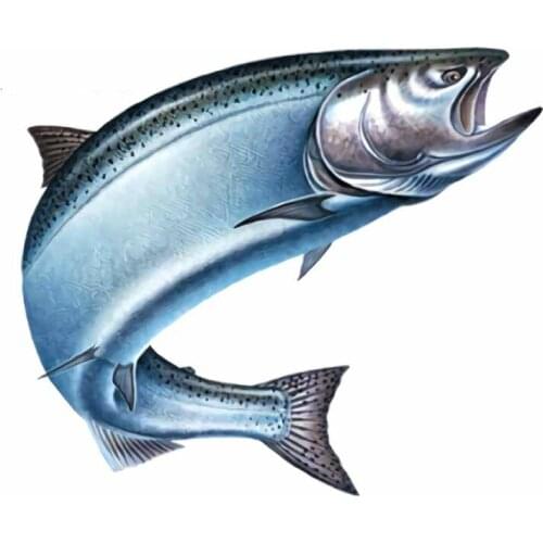 13cm x 11cm For Salmon Car Sticker Funny Fine Decal Vinyl Material Personality Decals Waterproof Occlusion Scratch