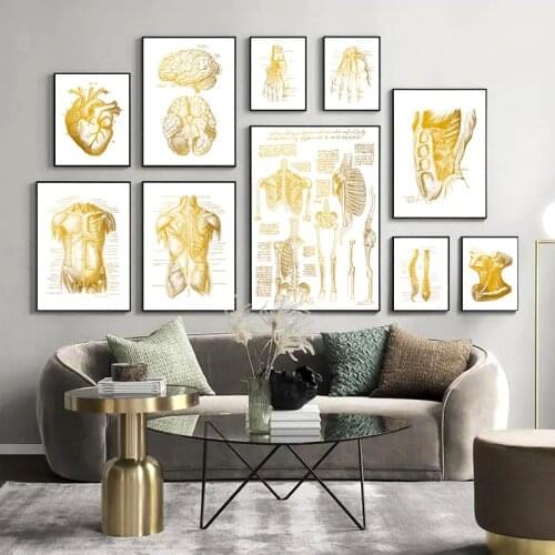 Human Anatomy Artwork Medical Wall Picture Skeleton Organ Muscle System Colorful poster Canvas Print Body Education Painting