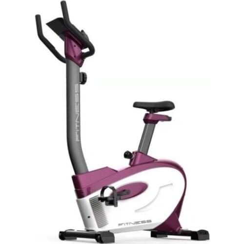 Gym Equiment Home Luxury Indoor Bike Running Machine Manufacture Foldable Walking Fitness Bicycle Treadmill