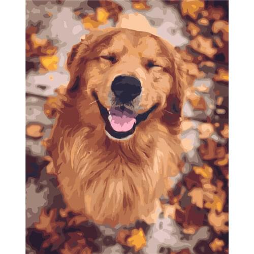 Classic digital oil painting pet golden retriever wall kitchen painting simple style very practical 40*50c'm