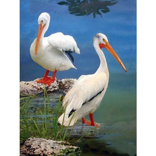 Full Square/Round drill 5D Diamond Painting DIY diamond embroidery White Pelicans Diamond mosaic Home Decor Gift E1394