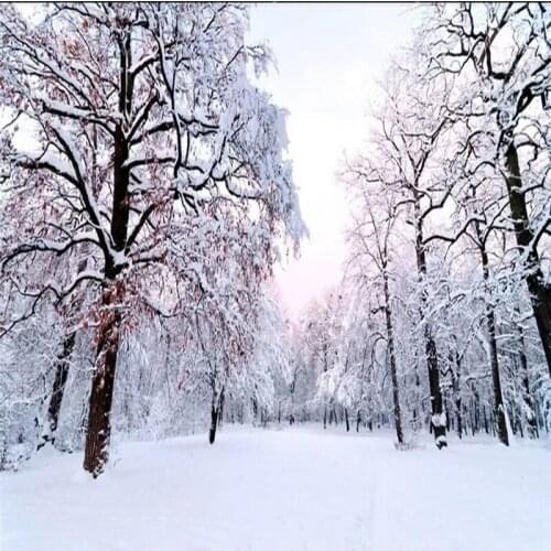 Nordic fashion style hand-painted lily banana leaf TV background wall specializing in the production of wallpaper murals custom