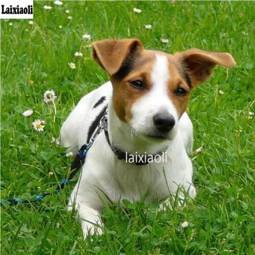 DIY Diamond Embroidery dog jack russel Diamond Mosaic full square Diamond Painting 5D Cross Stitch Home decoration accessories