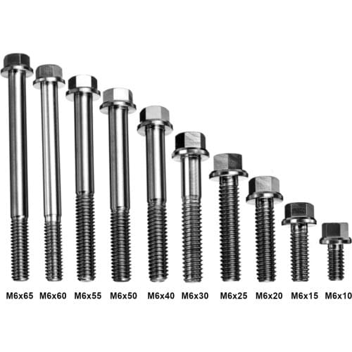 M6x1mm Titanium Ti Socket Bolt Cap Screw 10 15 20 25 30 40 50 55 60 65mm