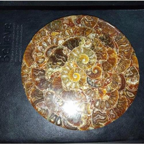 1pc 115-120mm Ammonite Fossil Slice Plate Natura Shell a compassl MADAGASCAR FOSSIL SPECIMEN HEALING decoration
