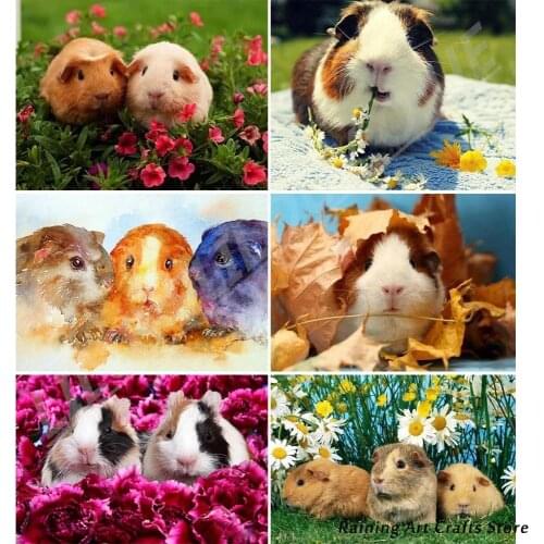 5D Diy Diamond Painting Cute Animal Guinea Pig Full Square Round Drill Rhinestone Cross Stitch Embroidery Mosaic Pictures Decor
