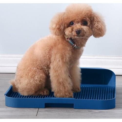 Portable Cat Dog Toilet Plastic Training Kitten Rabbit Doggy Pots Basin For Pet Puppy Indoor Defecate Supplies Product