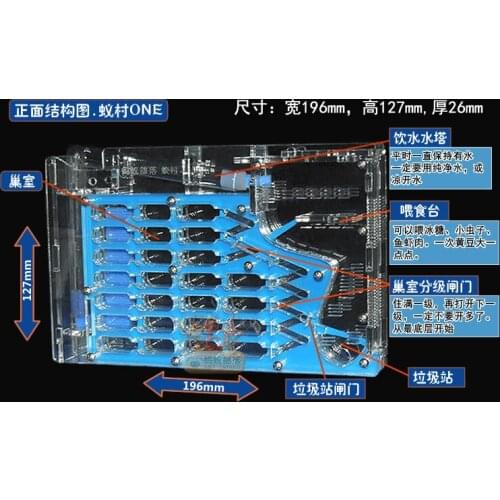 BIG ONE ant farm acryl, ant nests villa new pet advanced ant mania for house ants free shipping