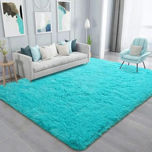 Soft Fluffy Area Rug Fluffy Living Room Carpet Modern Shaggy Area Rug for Bedroom Home Decor Carpet Large Indoor Mat for Girls