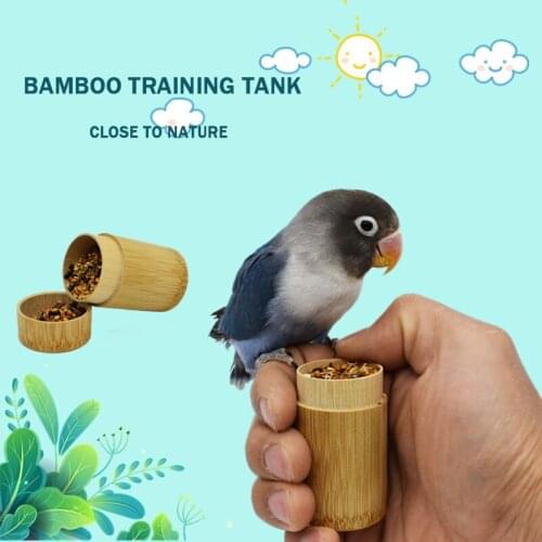 Bird Training Tank Bird Food Tank Parrot Bird Supplies Utensils Snack Box Hand-Raised Training Props Bamboo Feeder
