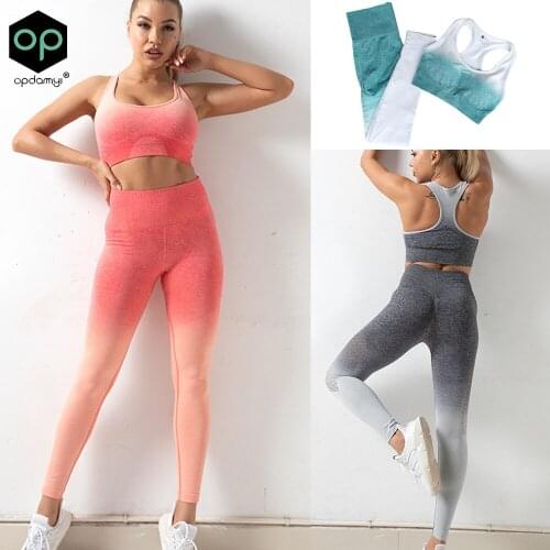 2Pcs Seamless Yoga Set Women Sexy Hip-Lifting Fitness Suit Bra Running Sports Vest+High-Waist Leggings Fitness Womens Tracksuit