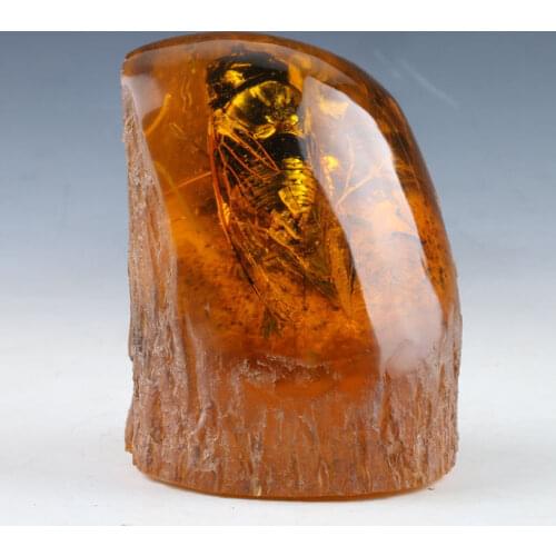 100% estatua de ámbar Natural w cigarra colección decoración para el hogar