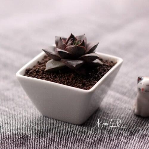 Free shipping Simple white succulents ceramic zakka small bonsai pot plants vase flower container Pots