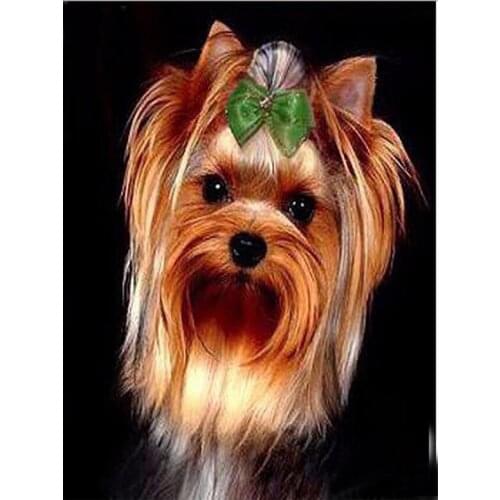 DIY Diamond painting Cross stitch kits Yorkshire Terrier Pictures of rhinestone For square mosaic cute dog full embroidery gifts