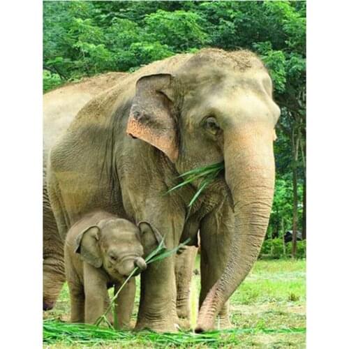 5d Diamond Painting Elephant Picture Of Rhinestone Diamond Embroidery Sale Full Square/round Mosaic Animal Beadwork ll530