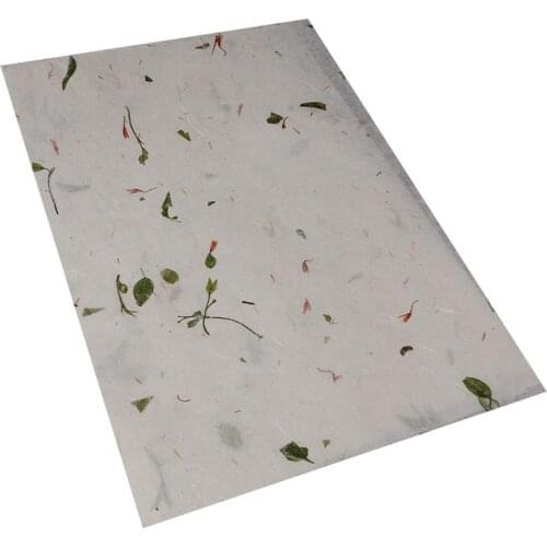 2 Packs/lot Flowers and Plants Rice Paper for Chinese Calligraphy Writing Petals Letter Xuan Paper Artistic Half-Ripe Xuan Paper