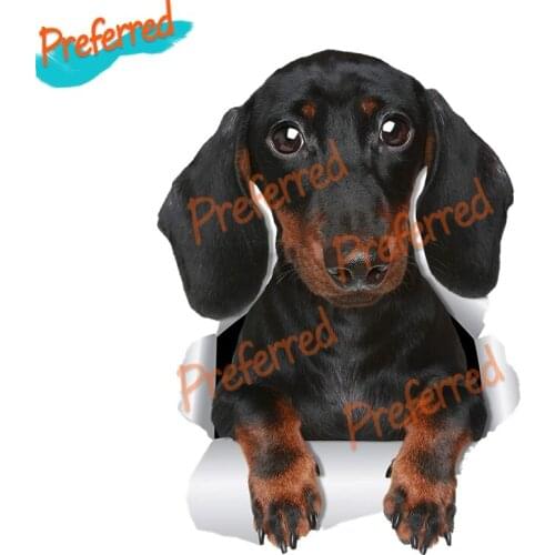High Quality 3D Three Ratels 3D Cute Dachshund Sausage Sticker Dog Decals for Walls Cars Toilet Luggage Skateboard Laptop